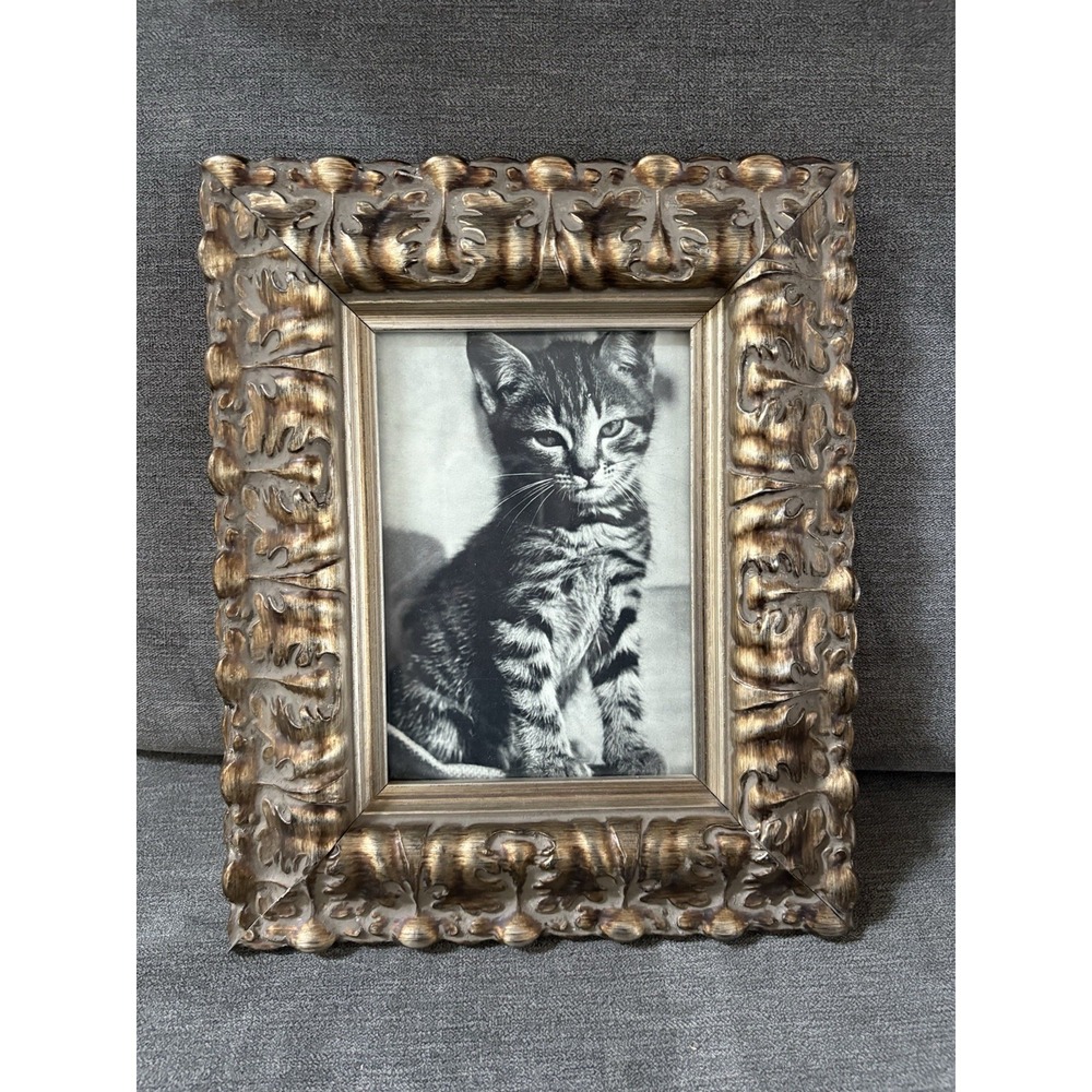 Vintage Cat Ephemera Newspaper Magazine Clipping‎ Framed Art